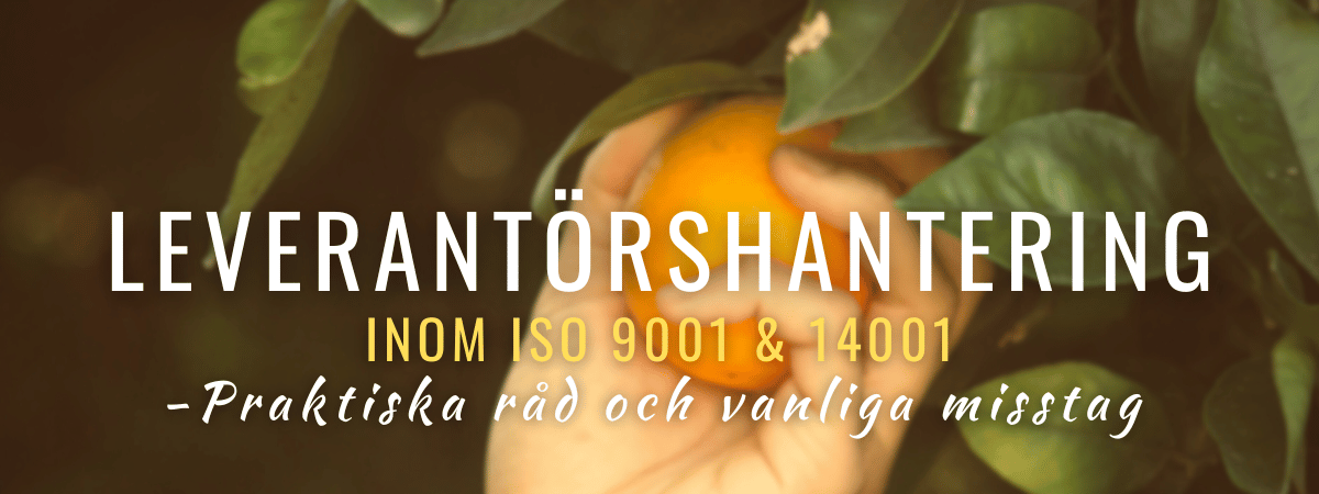 Leverantörshantering inom ISO 9001 och 14001 - Praktiska råd och vanliga misstag